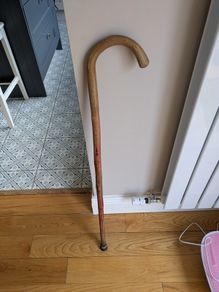 Walking sticks