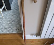 Walking sticks