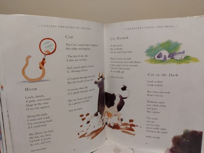 Collins Treasury of Poetry by Stephanie Nettell HARDBACK