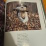 Just Dogs. A Literary And Photographic Tribut To The Great Hunting Breeds. First Edition Large Volume Hardback With Dustjacket In Good Condition.  See Photos For Same. Image 5