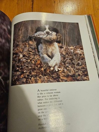Just Dogs. A Literary And Photographic Tribut To The Great Hunting Breeds. First Edition Large Volume Hardback With Dustjacket In Good Condition.  See Photos For Same.