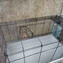 Hamster Cage or small Furries Cage Image 2