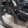 raleigh hybrid mountain bike Image 6
