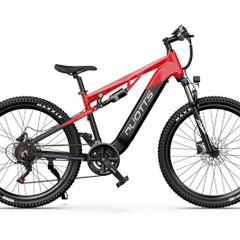 DUOTTS E29 Electric Bike
