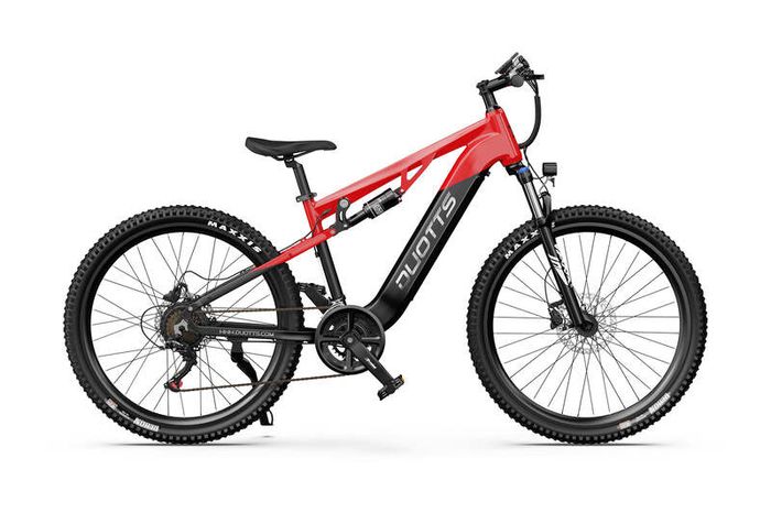 DUOTTS E29 Electric Bike