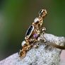 Antique Sapphire, Ruby, Emerald & Pearl Ring circa 1860 Image 8