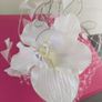 Cherry Chau fascinator Image 3