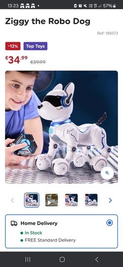 Robot dog