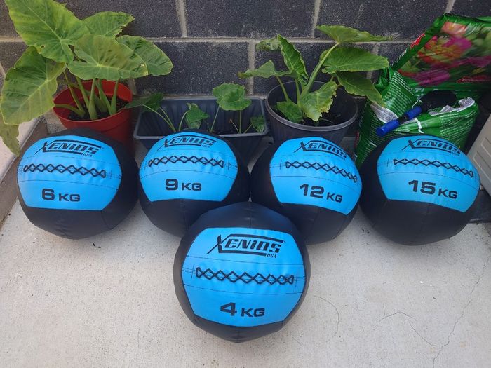 Wall Ball Set