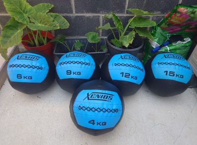 Wall Ball Set