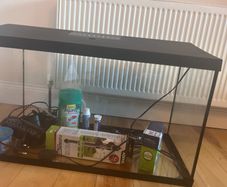 As New Large fish tank