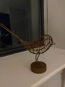 Battery powered bird light