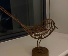 Battery powered bird light