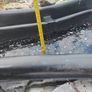 fish pond Image 5