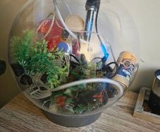 fish tank