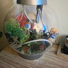 fish tank
