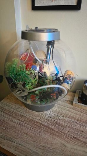 fish tank