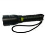 Picasso Star DIve Light Spearfishing light Image 3