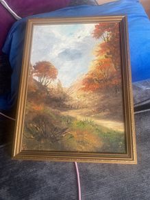 Framed picture