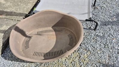 large dog bed