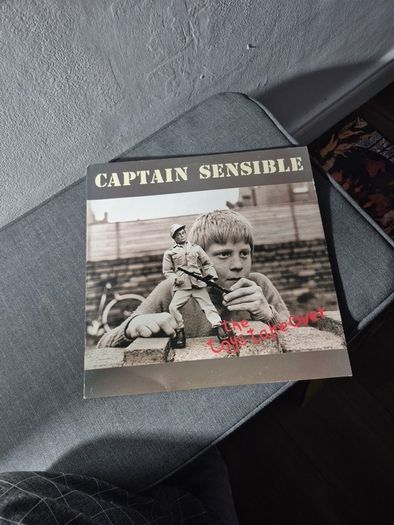 Captain Sensible the toys take over