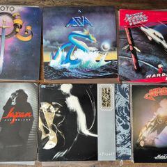 Vinyl Record Collection; LPs, 12" singles
