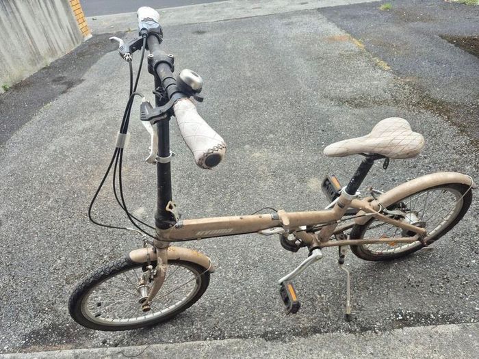 Folding Bicycle   - Read Description