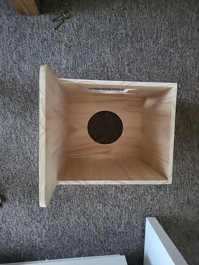 Cat shelves