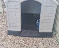Dog Kennel