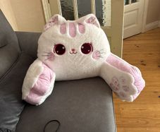 cushion teddy
