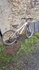 childs mountain bike