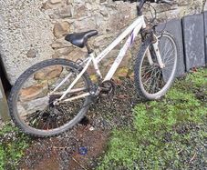childs mountain bike