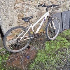 childs mountain bike
