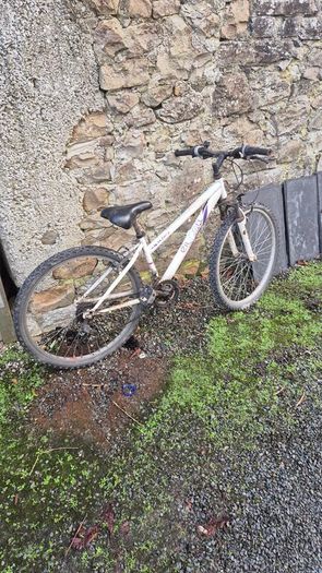 childs mountain bike