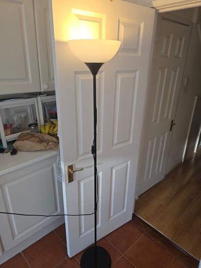 Floor lamp with energy saving bulb