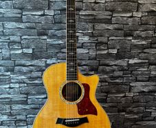 Taylor 814CE Grand Auditorium with Origional Taylor hard case