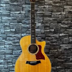 Taylor 814CE Grand Auditorium with Origional Taylor hard case