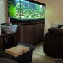 aquarium Image 4
