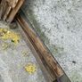 Wooden shed Image 3