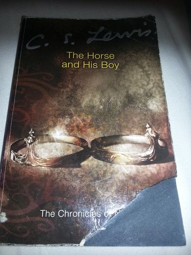 The Horse And His Dog