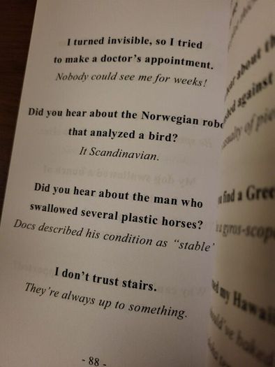 Book of Puns