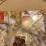 christmas place mats and coaters x 4 Image 3