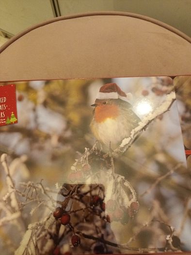 christmas place mats and coaters x 4