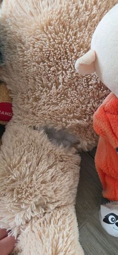 teddies