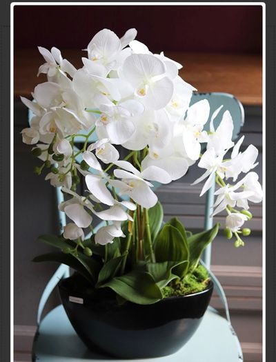 Extra Large Beautifull Flower like real 60 cm tall