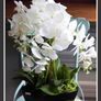 Extra Large Beautifull Flower like real 60 cm tall Image 3