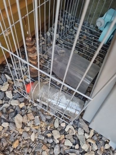 rabbit/guinea pig cage