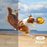 Mini Projector with WiFi Bluetooth, AKIYO Portable Projector Full HD 1080P Support, 5500 Lumens Phone Projector for Home Theater, Compatible with iOS/Android/HDMI/USB/Fire Stick/PC (Tripod included) Image 5