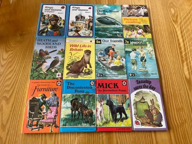 Vintage Set of 12 Ladybird Books