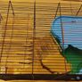 Large hamster cage - gerbil mouse rat rabbit guinea pig crate kennel  house Image 2
